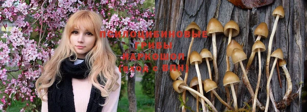ешки Баксан