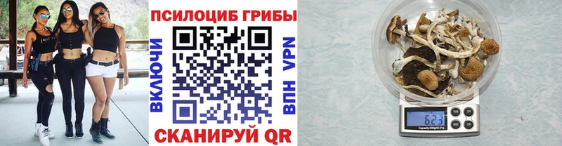 Псилоцибиновые грибы Psilocybine cubensis  где продают наркотики  Каспийск 